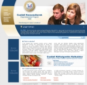 Provident CMS